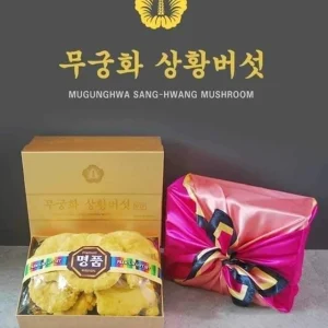 Nấm Thượng Hoàng Chính Phủ VIP
