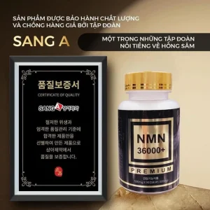 Trị Chứng Mất Ngủ Kinh Niên 𝐍𝐌𝐍 𝟑𝟔𝟎𝟎𝟎 PREMIUM